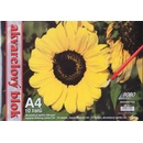 Akvarelový blok A4 čistý 10 listů