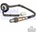 DELPHI Lambda sonda ES2064412B1
