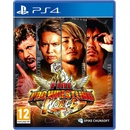 Hry na PS4 Fire Pro Wrestling World