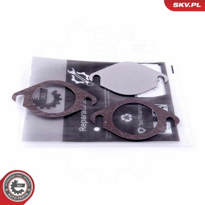 Súprava na opravu, ventil AGR ESEN SKV 14SKV568 14SKV568