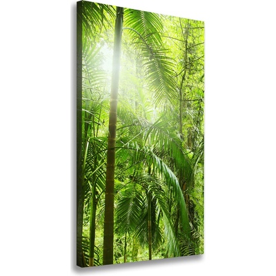 Vertikálny foto obraz na plátne Dažďový prales 50x100 cm