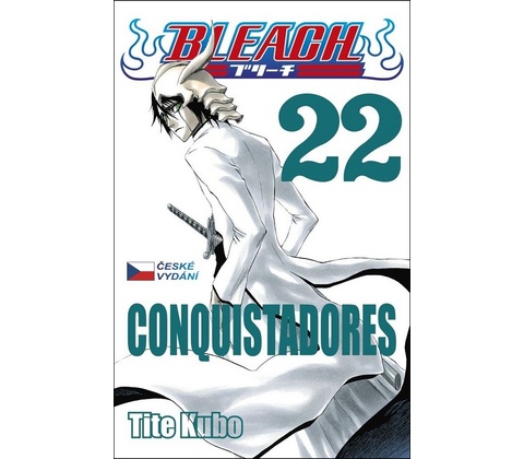 Bleach 22