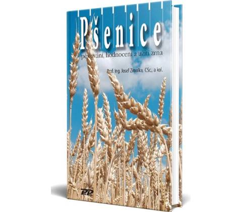 Pšenice