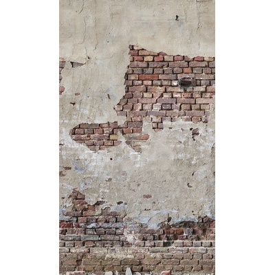392561 Vliesový panel The Wall, rozmery 159 x 280 cm
