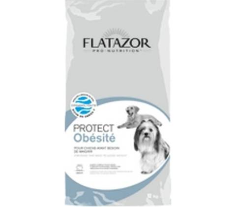 Flatazor Protect Obesity 2 kg