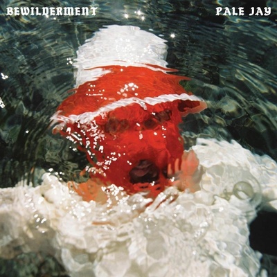PALE JAY - BEWILDERMENT LP