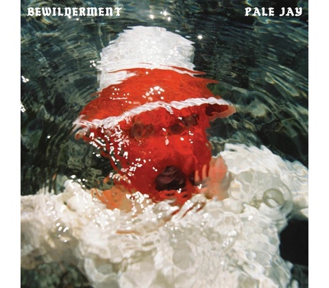 PALE JAY - BEWILDERMENT LP