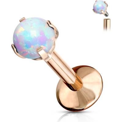 Steel Edge piercing do brady z titanu SET23LI7 Rose gold