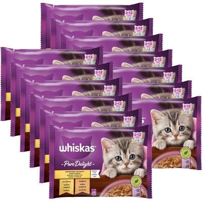 Whiskas пакетче Casserole Junior пилешки избор в желе 13 x (4 x 85г)