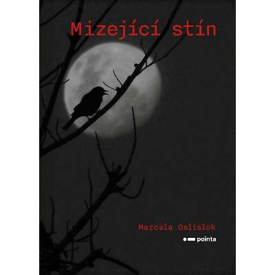 Mizející stín