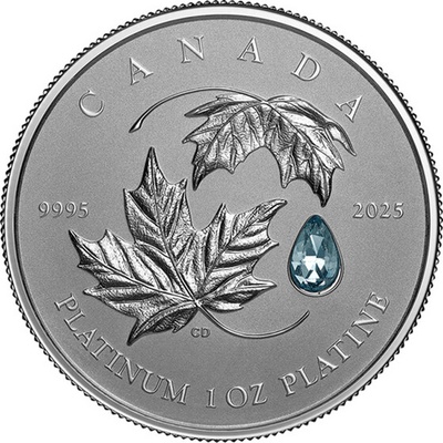 Royal Canadian Mint Platinová mince Javorový list napořád 2025 1 oz – Zbozi.Blesk.cz
