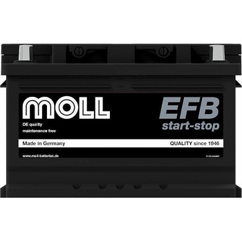 Image 1 of MOLL EFB 84Ah 800A right+ (282014)
