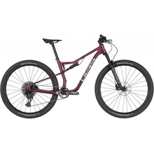 Pells Duke FS 2 2024