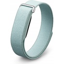 Google Fitbit Air