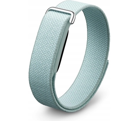 Google Fitbit Air