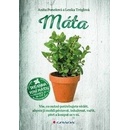 Máta