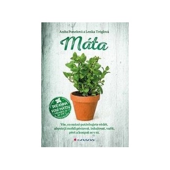 Máta