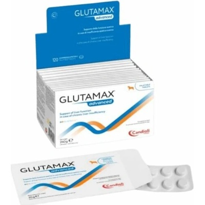 GlutaMax Forte na ochranu pečene pre psy 12 x 10 tbl