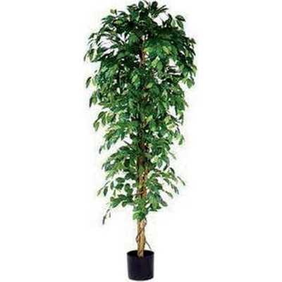 Vepabins Umělá rostlina Ficus Benjamina, zelená, výška 210 cm