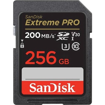 SanDisk SDXC UHS-I 256GB SDSDXXD-256G-GN4IN