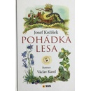 Pohádka lesa