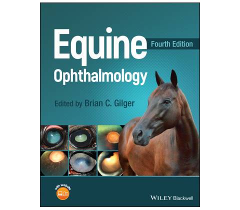 Equine Ophthalmology