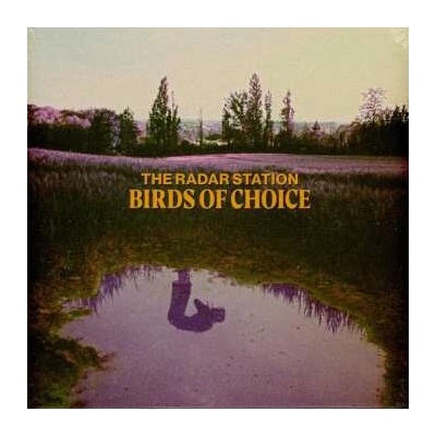 Radar Station: Birds Of Choice - Radar Station LP
