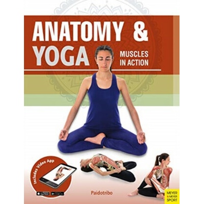 Anatomy & Yoga - Mireia Patino Coll