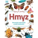 Hmyz
