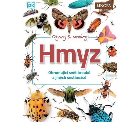 Hmyz