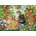 Cobble Hill - Puzzle Under the Cherry Tree - 350 piese