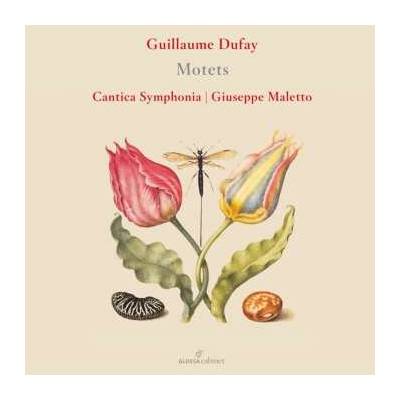 Guillaume Dufay : Motets (Giuseppe Maletto) CD
