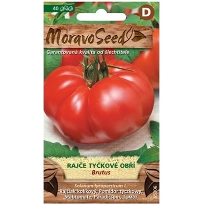 Semínka MoravoSeed Rajče tyčkové obří BRUTUS 65306