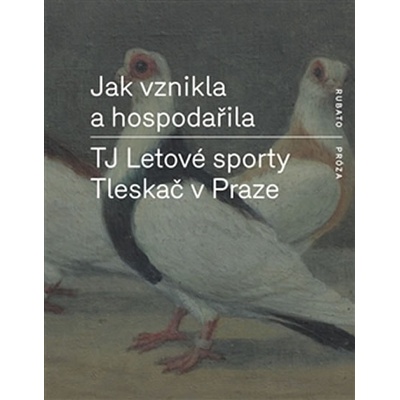 Jak vznikla a hospodařila TJ Letové sporty Tleskač v Praze