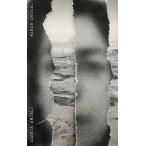 Minor Detail (ISBN: 9780811229074)