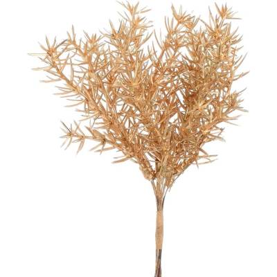 VETVIČKA ZELEŇ ASPARÁT ZLATÝ 18CM