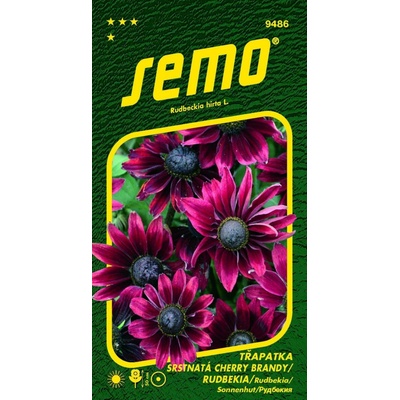 SEMO Třapatka srstnatá rudbékie Cherry Brandy