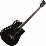Algam Eko NXT B100e Black Акустична бас китара