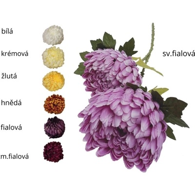 Chryzantéma žlutá 70 cm