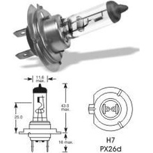 TESLight H7 Px26d 12V 55W