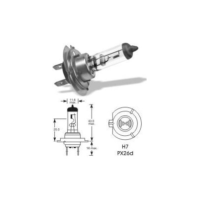 TESLight H7 Px26d 12V 55W