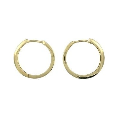 INFINITYSILVER Strieborné pozlátené náušnice krúžky 2cm OE307G