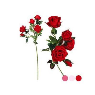 Клон от 5 рози