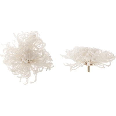 Chrysanthema Anastasia - 3 ks