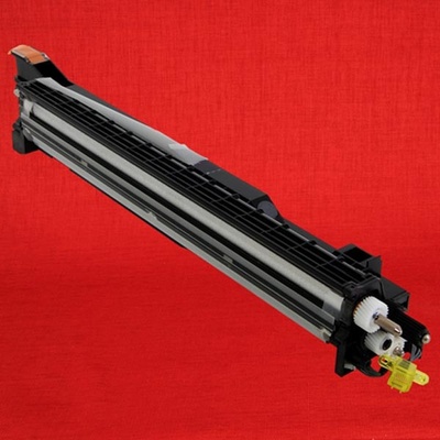 Ricoh D8093033 - originální