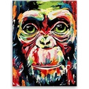 Maľovanie podľa čísel Farebná opica
