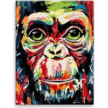 Maľovanie podľa čísel Farebná opica