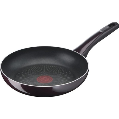 Tefal Resist Intense D5220483 24 cm