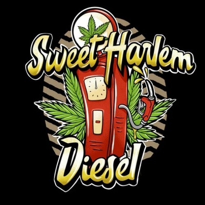 Sumo Seeds Sweet Harlem Diesel semienka neobsahujú THC 3 ks