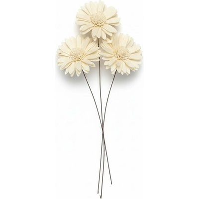 242Shola kvet 6cm sunflow 6ks